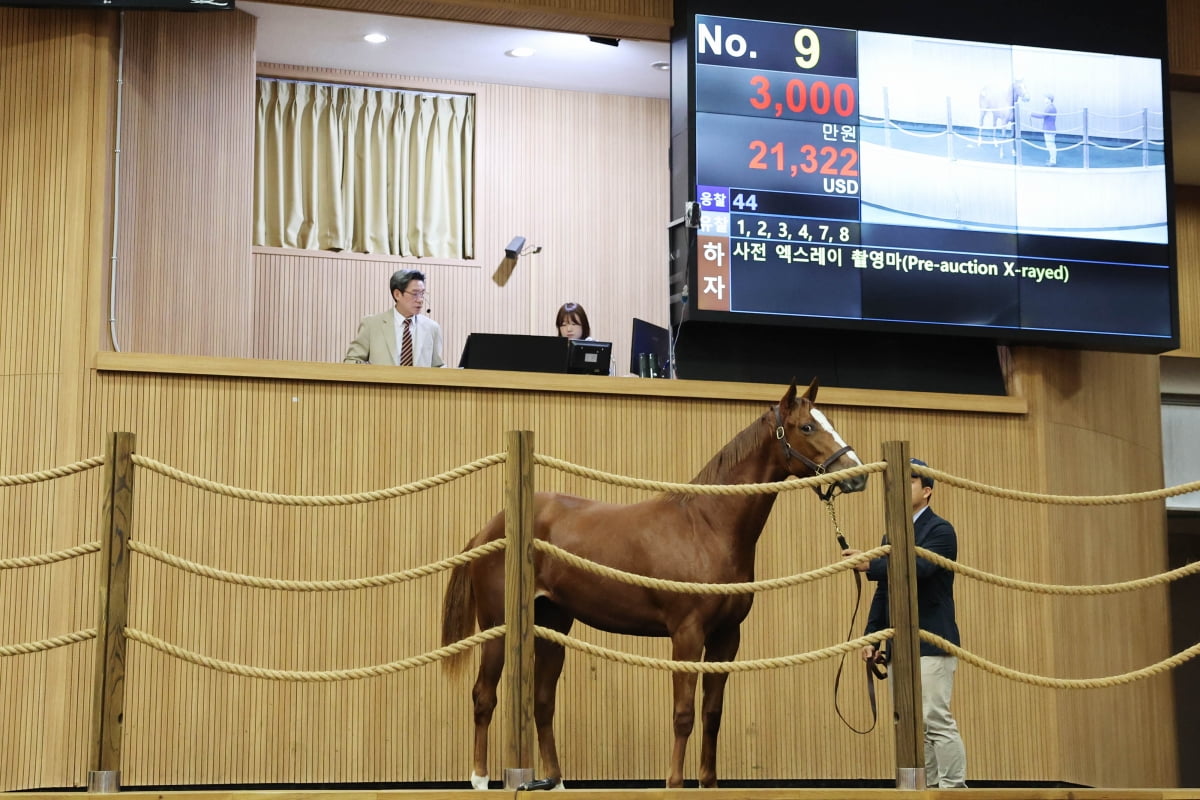 皇家社会vs巴萨半场数据：巴萨7次射0射正，绝对机会2-0